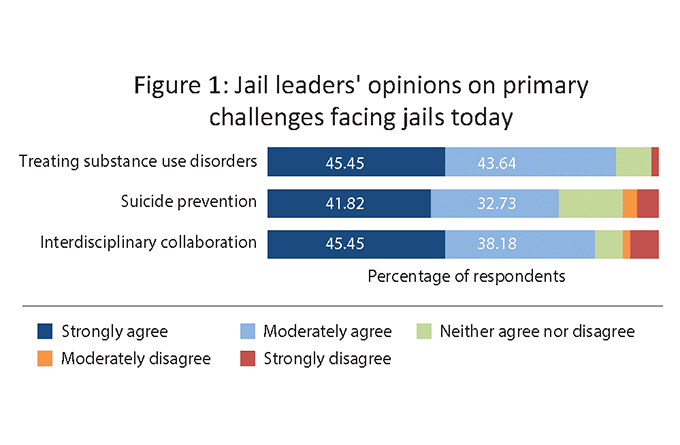 Challenges Facing Jails Today – and Tomorrow: Findings From an NCCHC Resources Survey of Jail Leaders