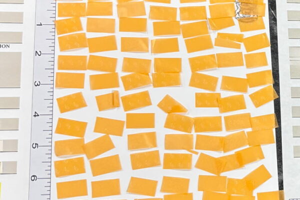 contraband in correctional mail