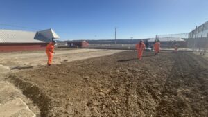 garden plot at a prison yard