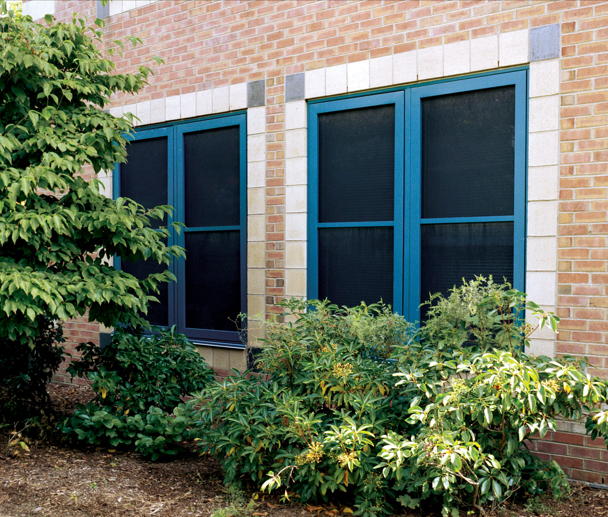 Detention Window Screens - Correctional News