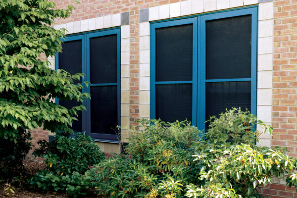 window screen