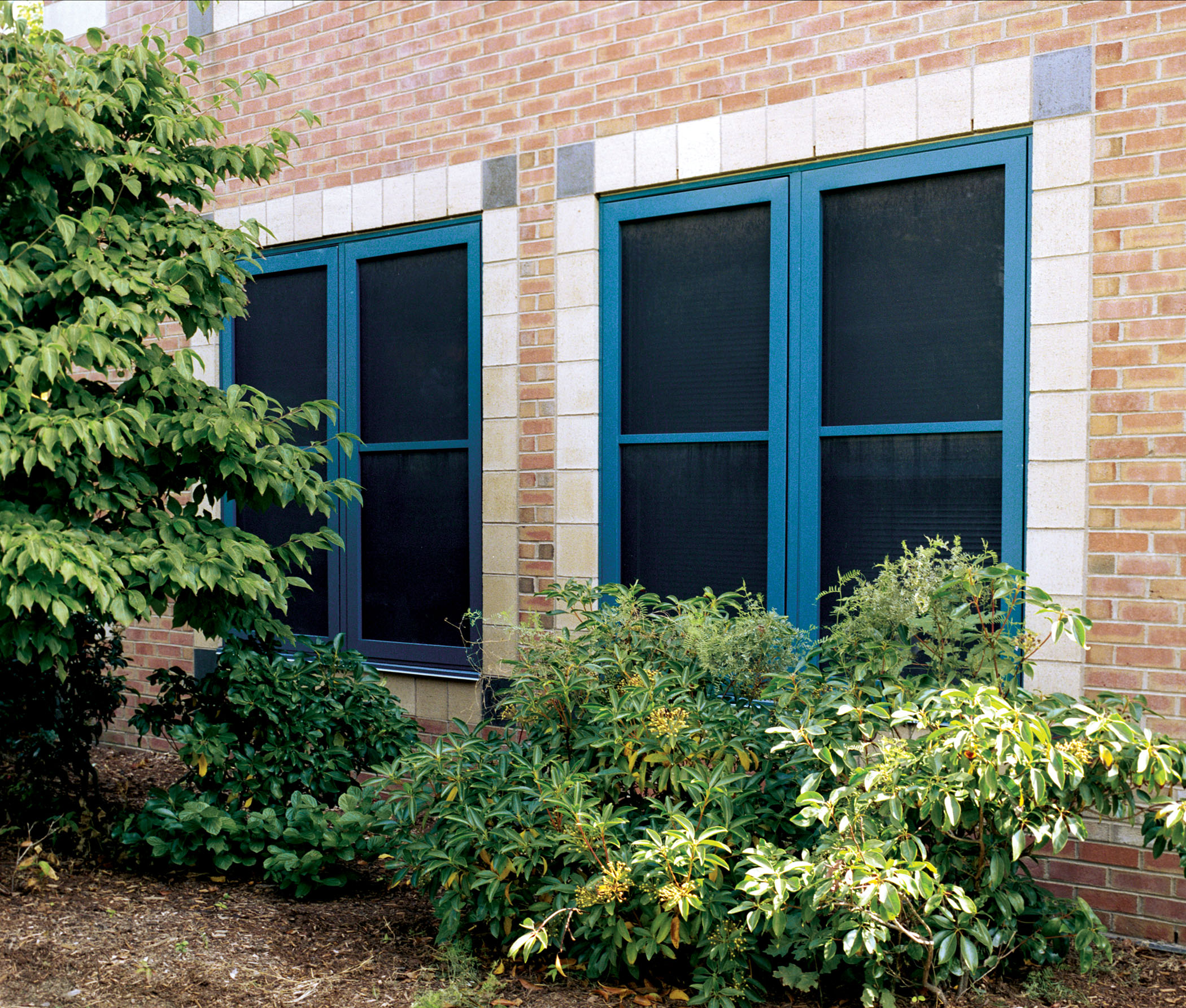 window screen